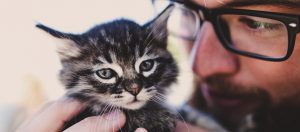 Kitten for pet adoption event at Jefferson Feed