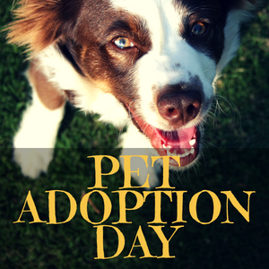 jefferson feed pet adoption day event