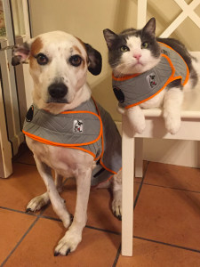 thundershirt dog and cat at jefferson feed metairie